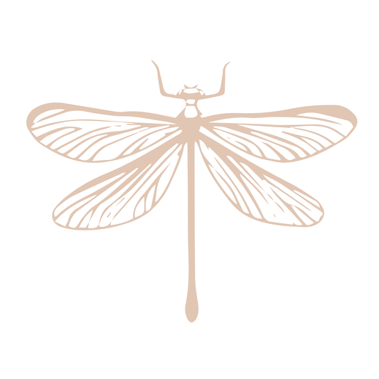libelula